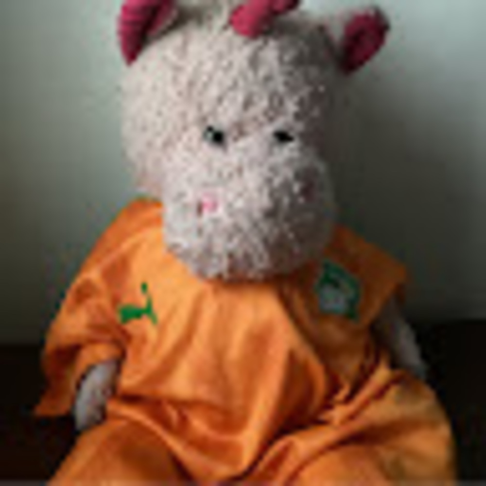 Meet your Posher, Eliel